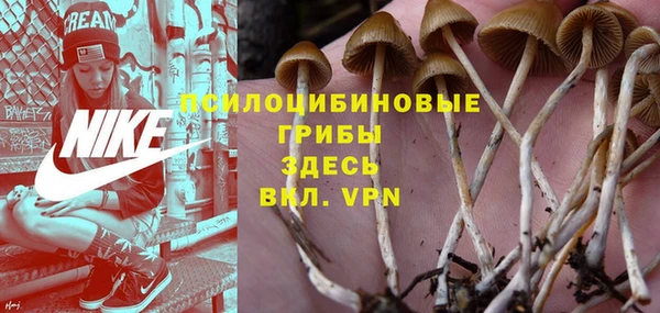 прущие крисы Лагань