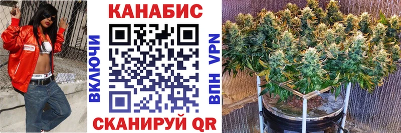 Бошки Шишки Amnesia  OMG вход  Обоянь 